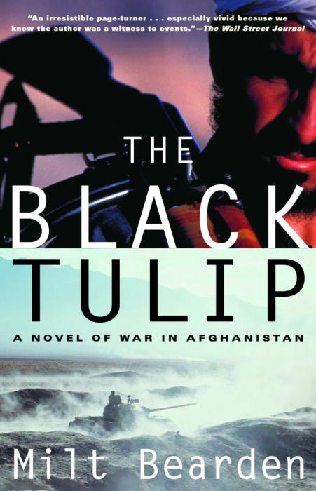 Cover image for The Black Tulip